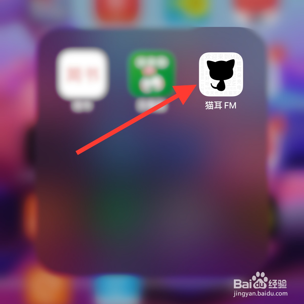 猫耳app怎么查看版本号？