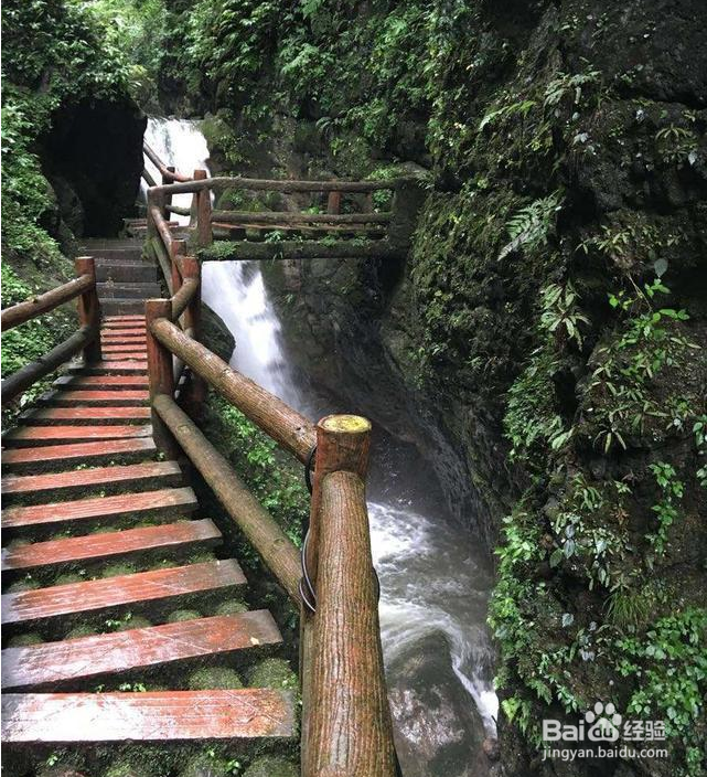 都江堰—青城山旅游攻略