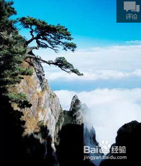 各个月份都有哪些好的旅游去处