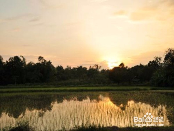 如何克服在乡下工作的困难？