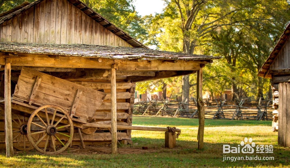 乡村振兴战略背景下的村庄规划要怎么做？