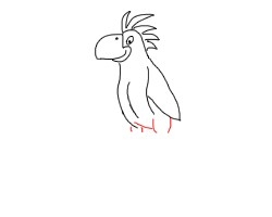 简笔画---怎么画鹦鹉