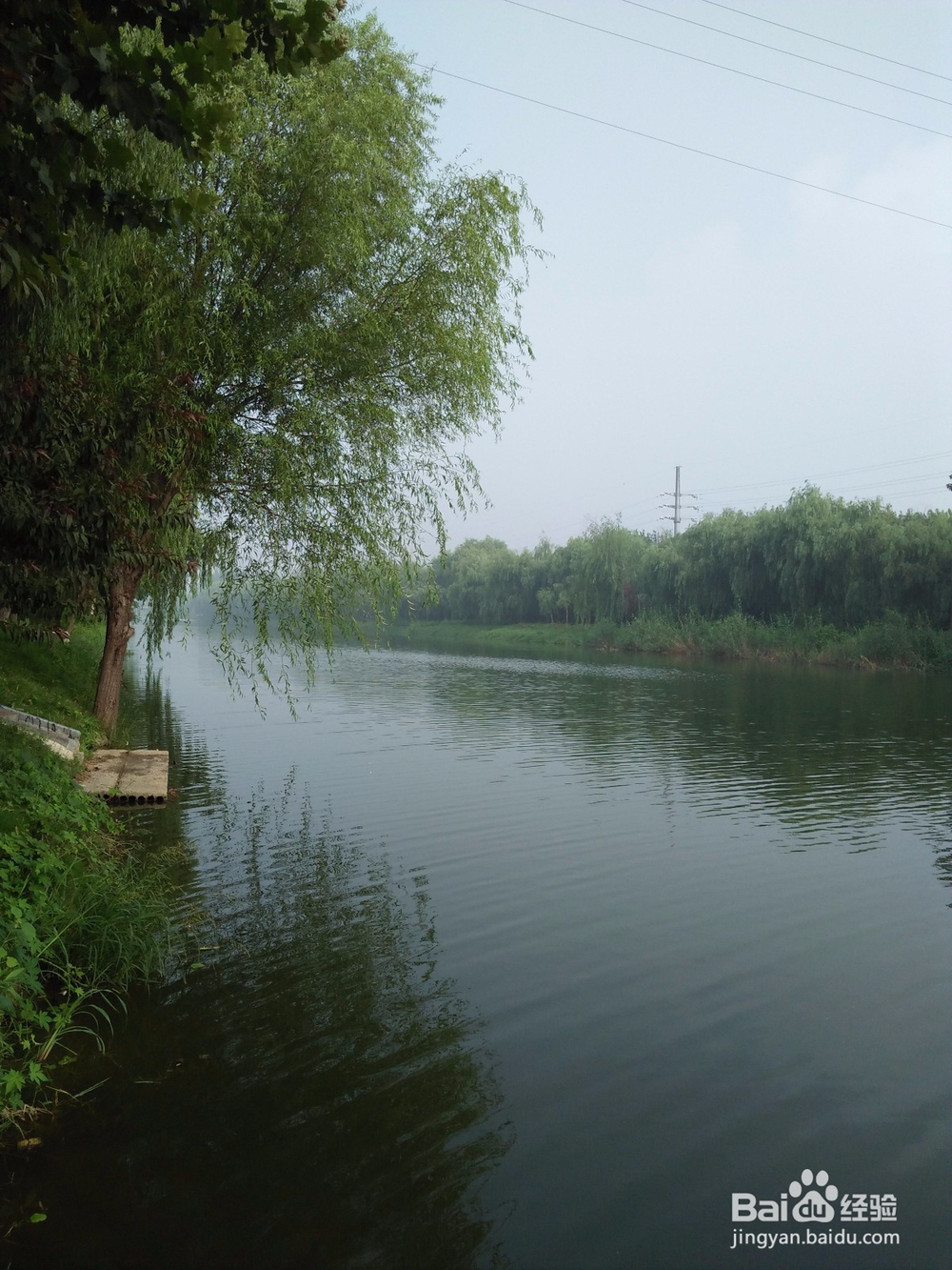 顶撞老师反思怎么写