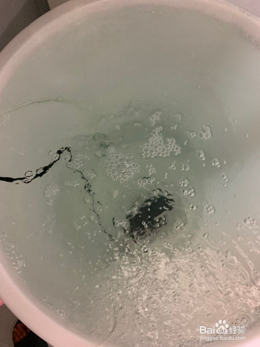 新手养观赏鱼知识