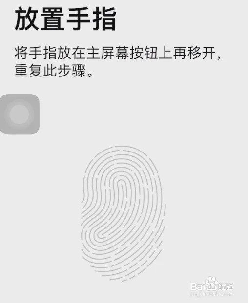 苹果手机有指纹功能吗