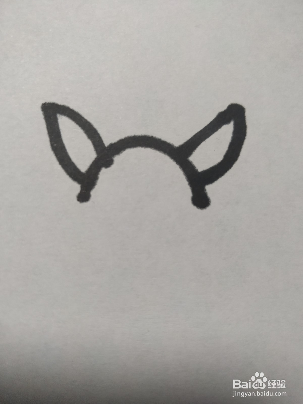 毛驴的简笔画技法13