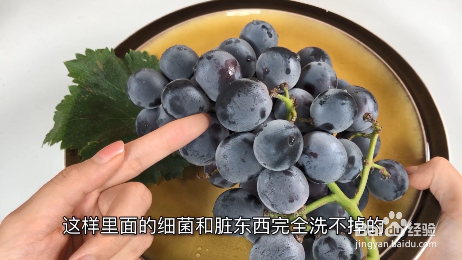 买回来的葡萄千万不要这样做,教你正确的方法!