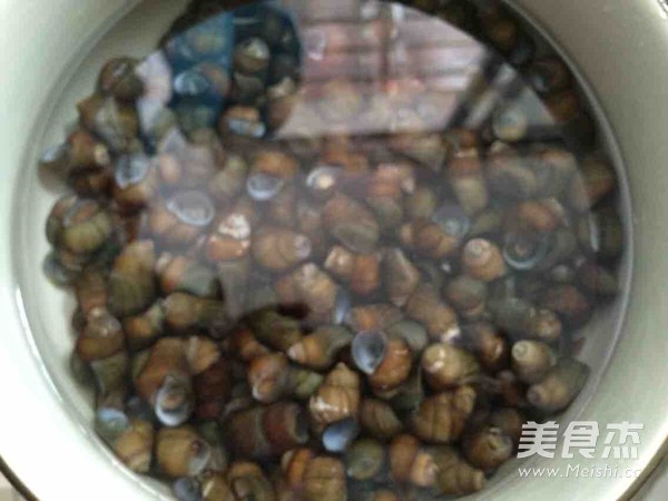 麻辣螺蛳的做法