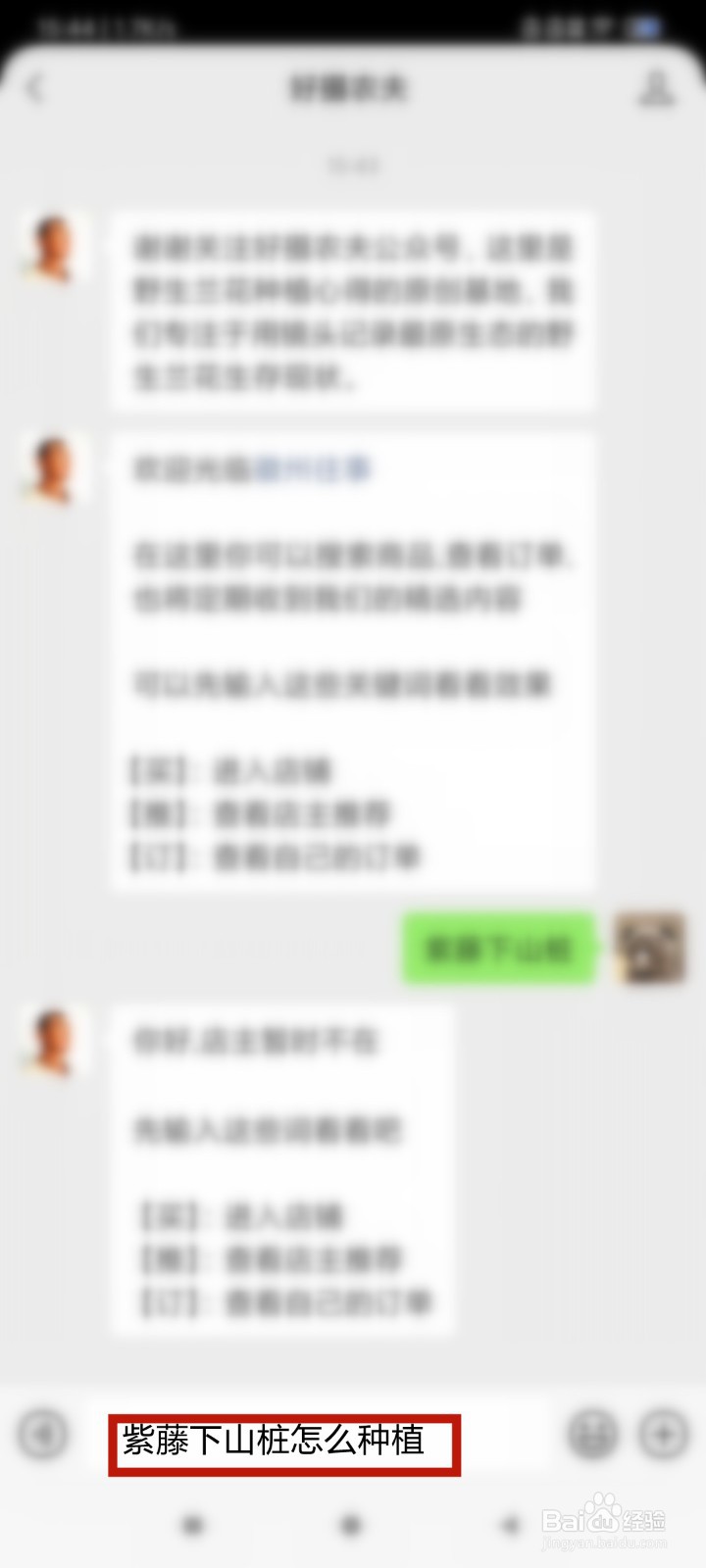 紫藤下山桩怎么种植