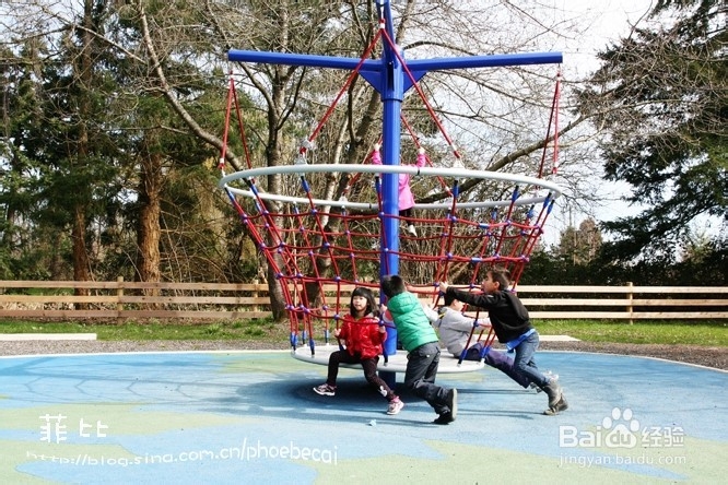 温哥华百万木头公园