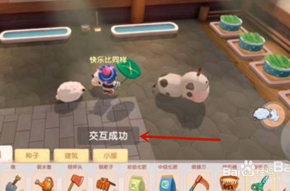 摩尔庄园手游如何完成收集羊毛任务