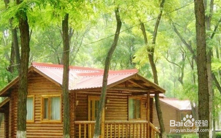 森鑫森林公园攻略