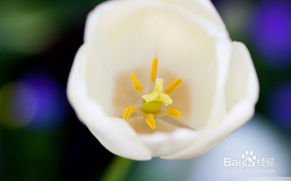 怎么去除青春痘印