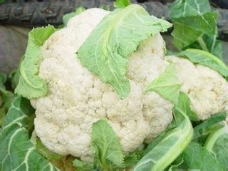 每天吃这些，什么美容和保健品都不用了（四）