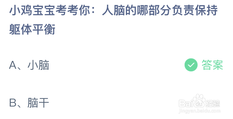 小鸡宝宝考考你人脑的哪部分负责保持躯体平衡