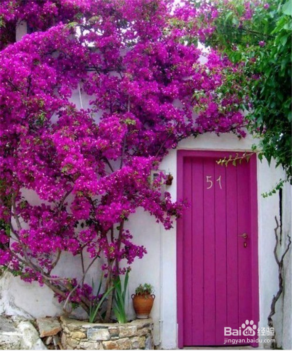 夫妻间如何保鲜?