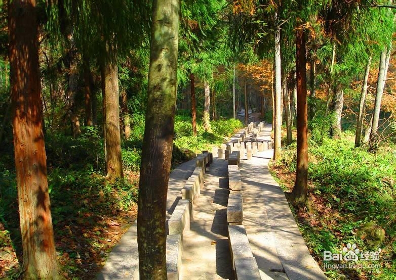 张家界学生旅游线路攻略