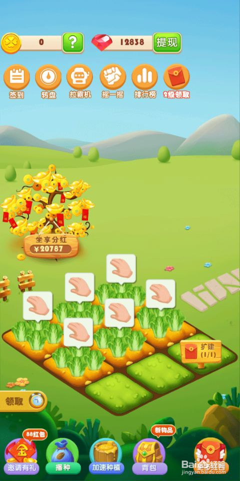 金多多农场这款游戏怎么玩