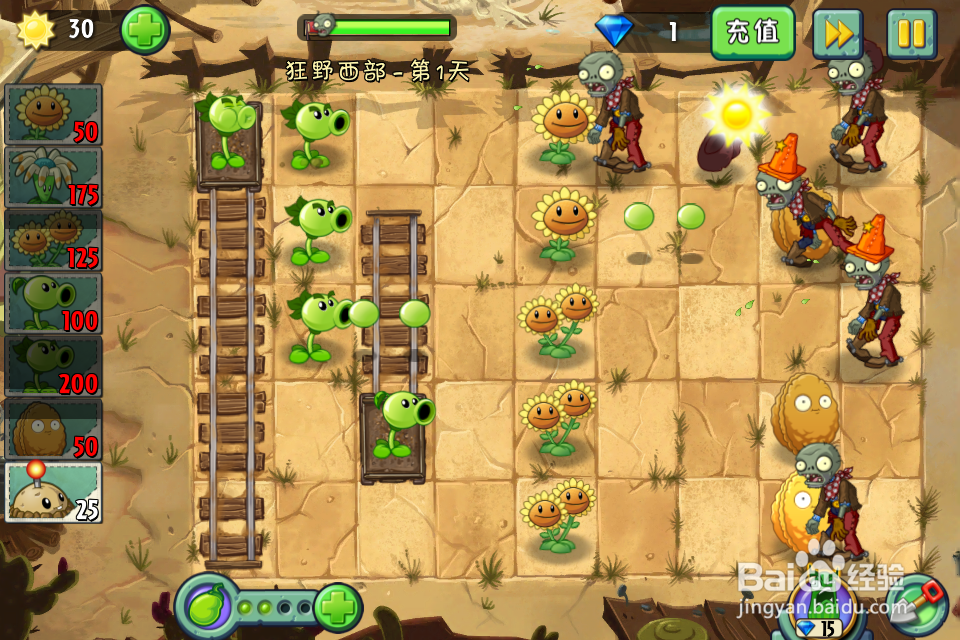 植物大战僵尸2：第1天（狂野西部）