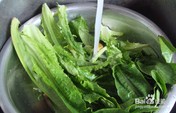 如何教孩子学会清洗油麦菜