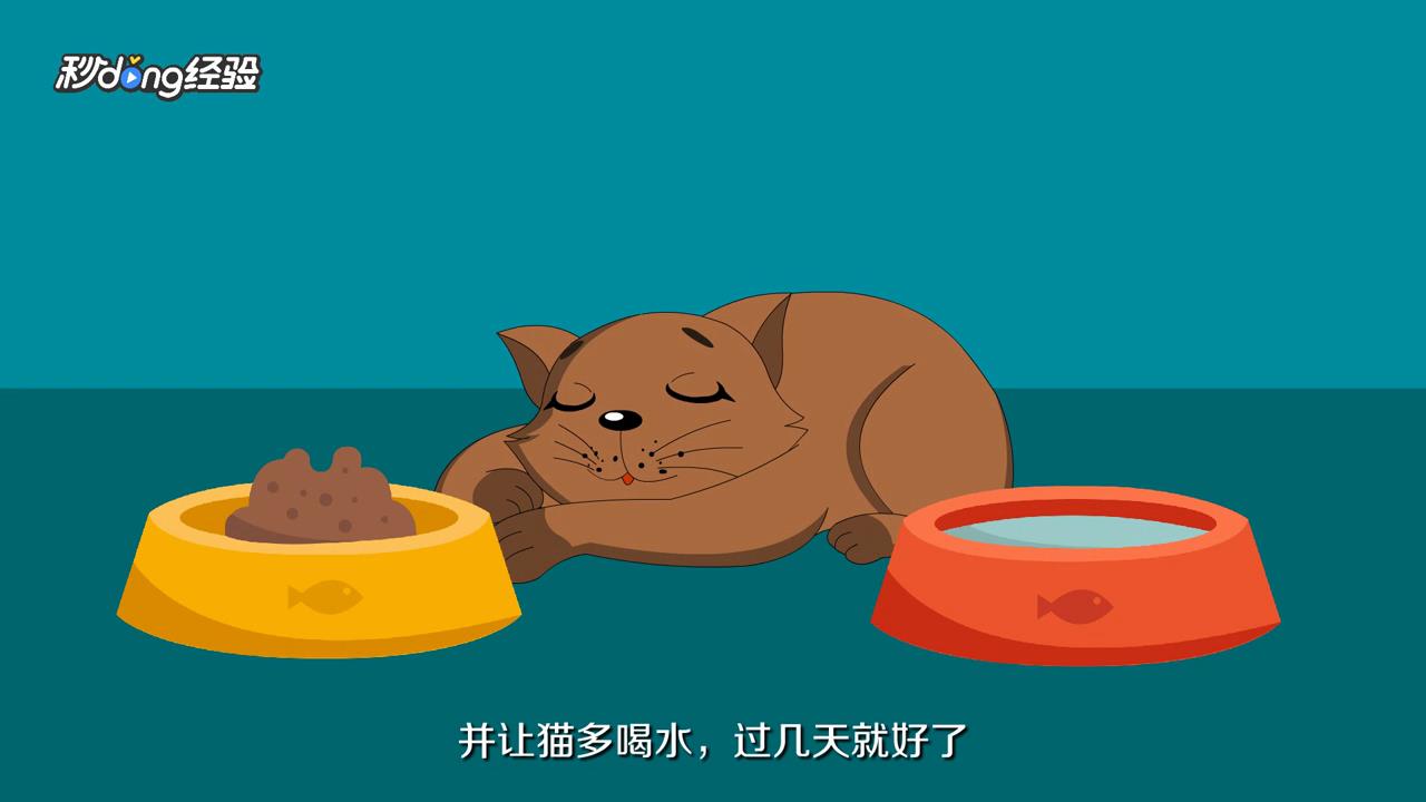 猫掉毛怎么办