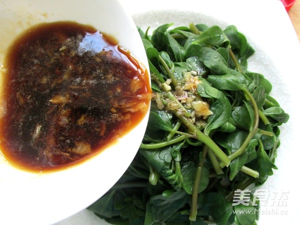 凉拌马齿苋的做法