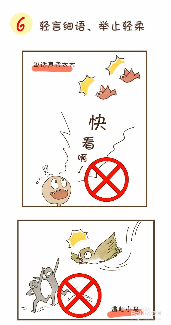 观鸟装备及注意事项