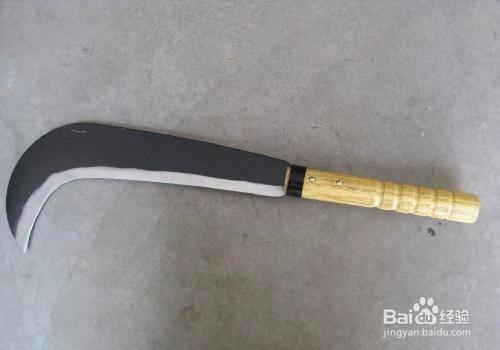 野猪攻击怎么办