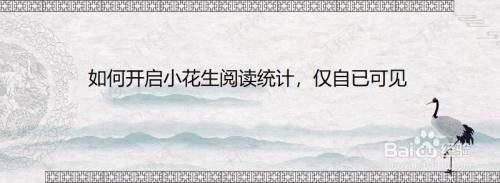 如何开启小花生阅读统计，仅自已可见