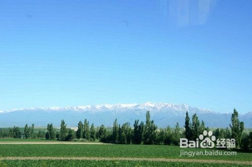 天山深处的绿岛那拉提游记攻略