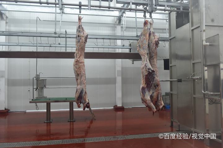 怎么健康吃肉