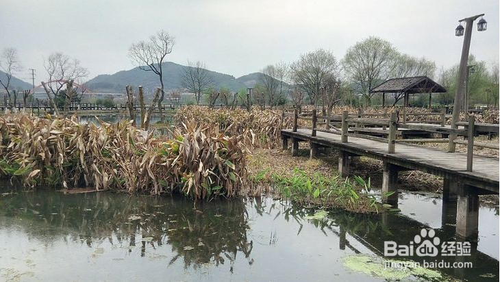 我们怎么在江西新余去进行旅游