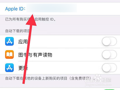 苹果手机appstore怎么更改支付方式