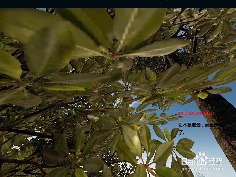 荒岛求生（深海搁浅）