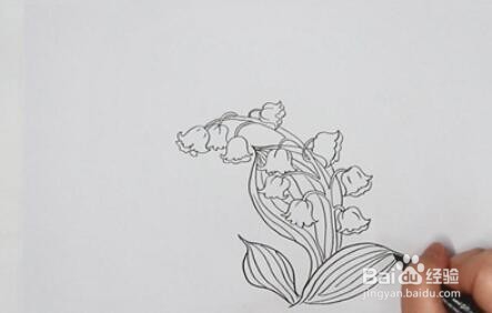 怎么画铃兰花