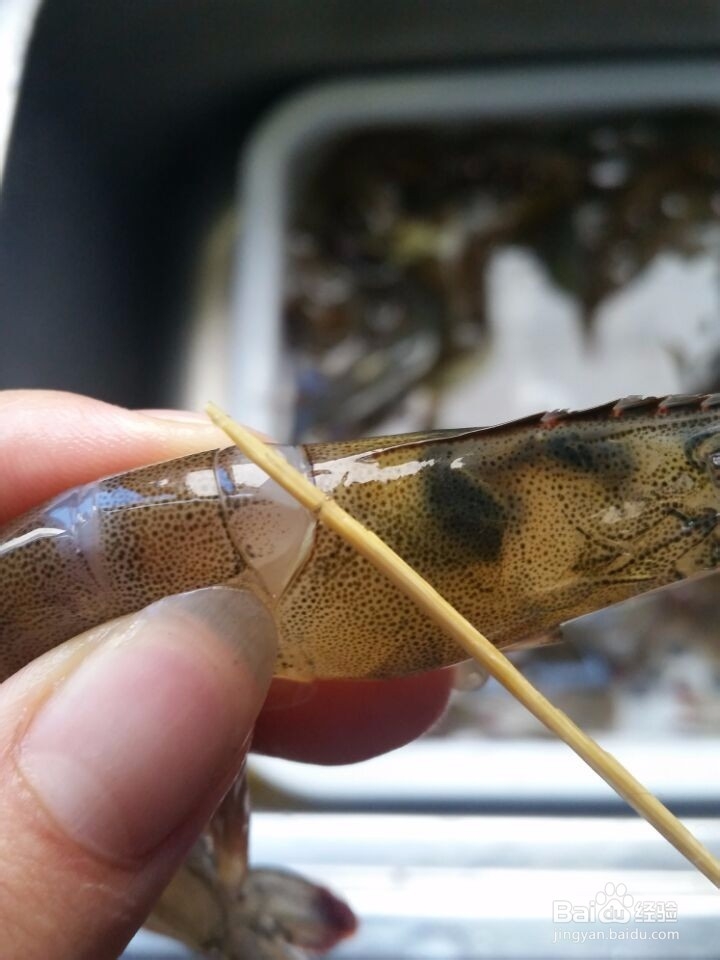 快速轻松除虾线