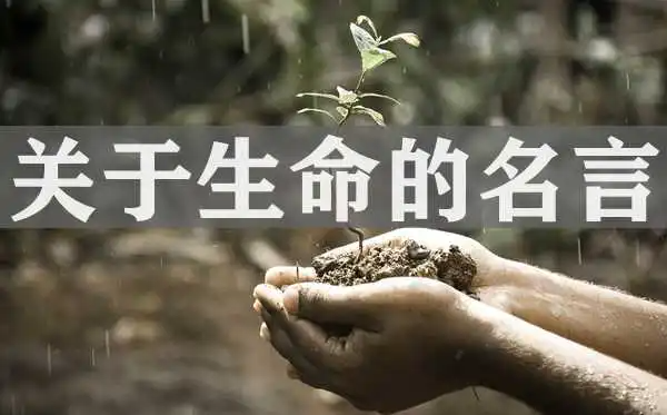 珍惜生命的名言警句