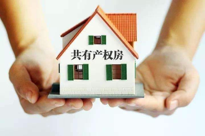 两个人合伙买房子，在房产证上可以写两个人的名字吗谢谢大家给点意见