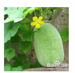 巧喝豆浆法让瘦身更容易的方法