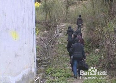 森林有害生物林间调查方法