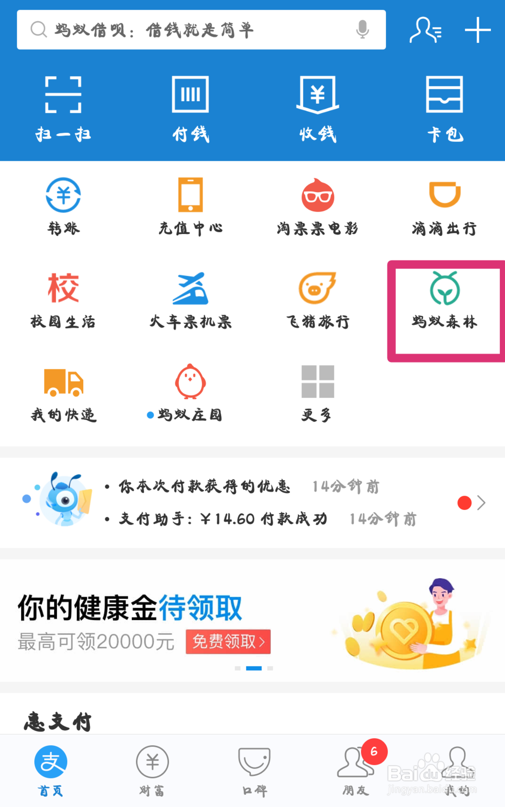 蚂蚁森林怎样种树
