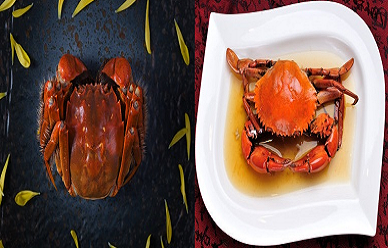 如何判断大闸蟹假死