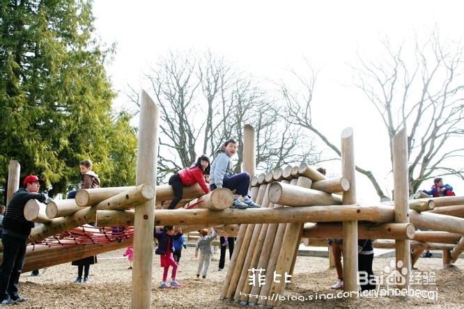 温哥华百万木头公园