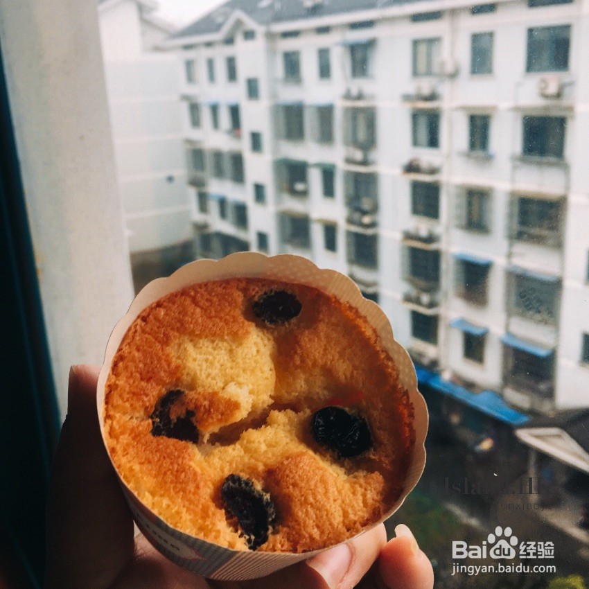 蔓越莓戚风纸杯蛋糕