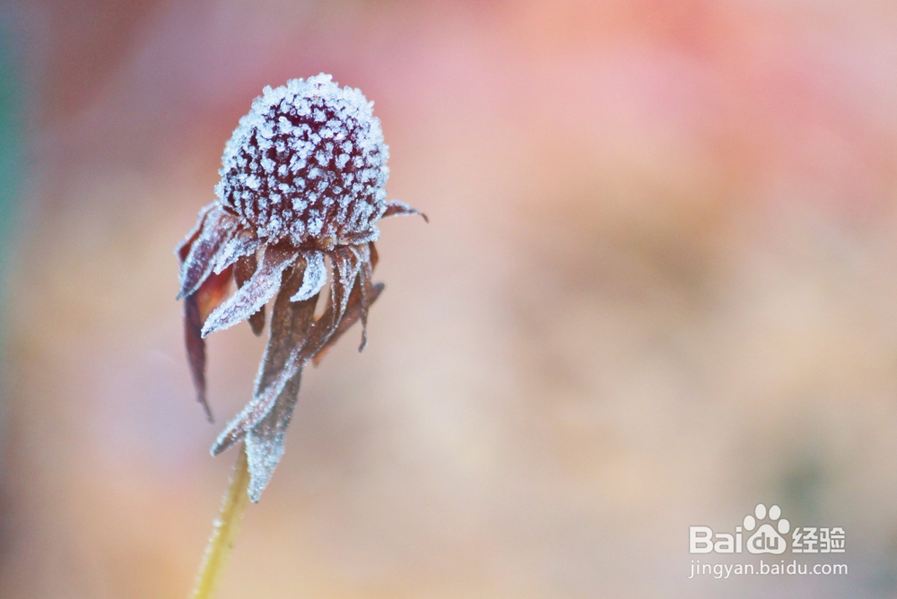 如何去优雅地说“不”：[2]忠实于你自己 2