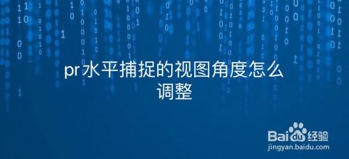 pr水平捕捉的视图角度怎么调整