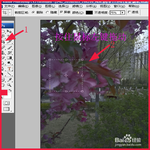 PS怎样把图片变小