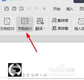 <b>WPS文字的文档如何统计字数</b>