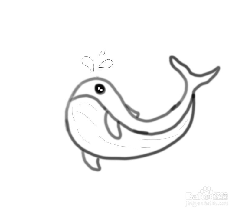 可爱的小鲸鱼