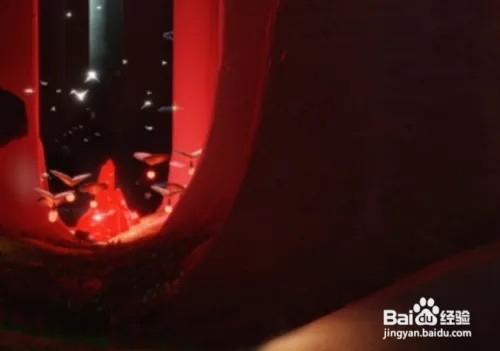 光遇8月27日红石位置